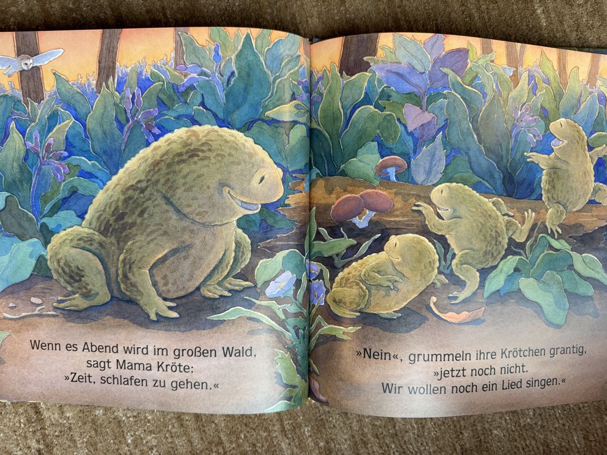 Livres: Bilderbuch - Wenn es Abend wird im Wald – Neuf (Voir description) à Aarau par Kilauea 5