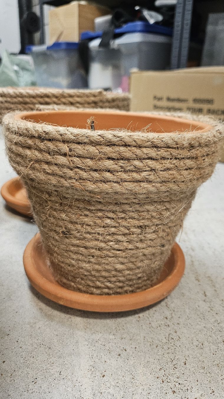 Lambert Pots de fleurs: Blumentöpfe – D'occasion à Buchs SG par Tscherfi 3
