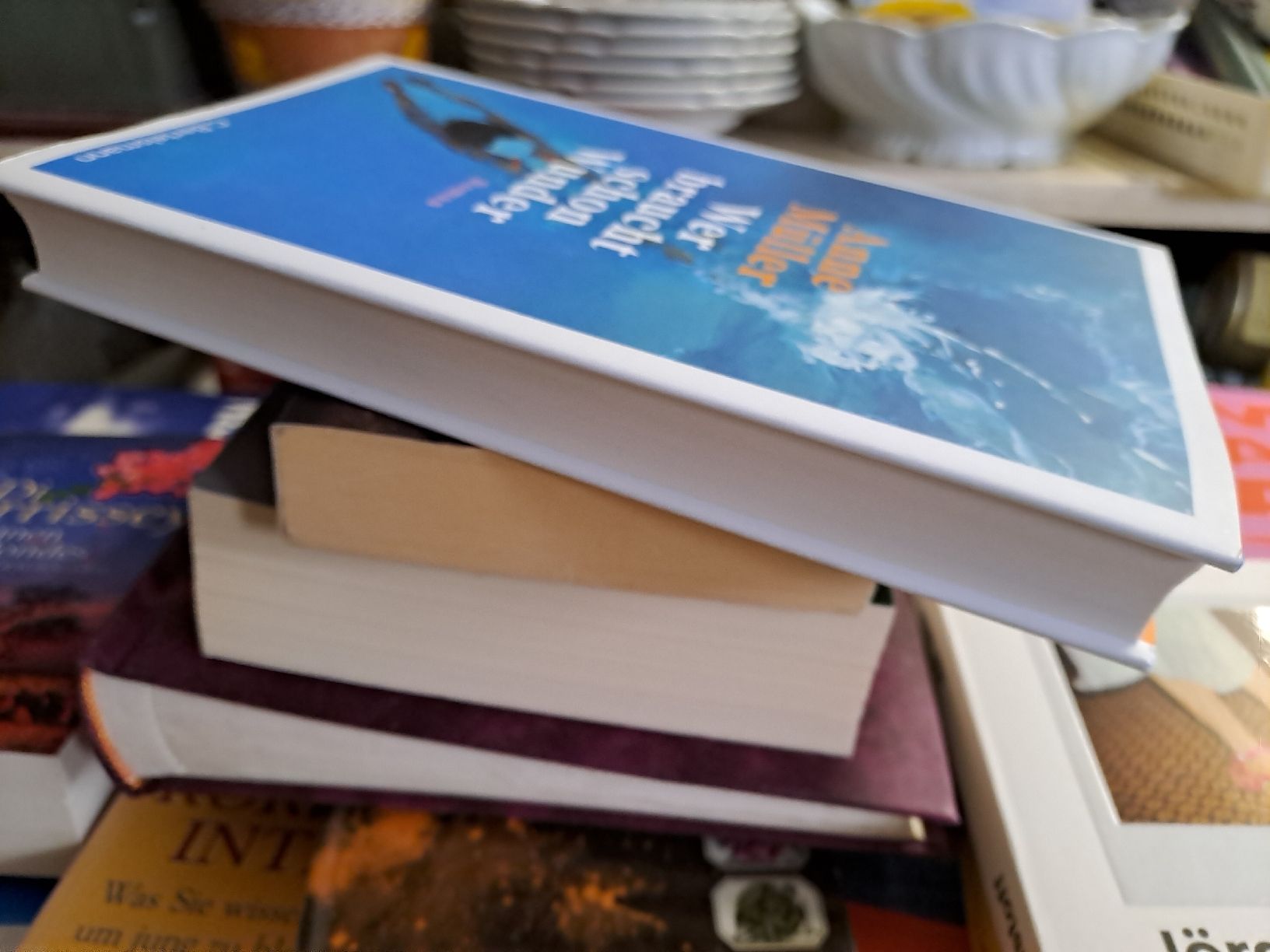 Bücher: Roman "Wer braucht schon Wunder" – Gebraucht aus Zürich von Schoebi19 4