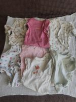 Baby Bodys Gr. 62/68 | Baumwolle | Lang- & Kurzarm