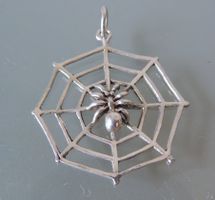 Silber 925 Spinne im Netz Anhänger 30 mm