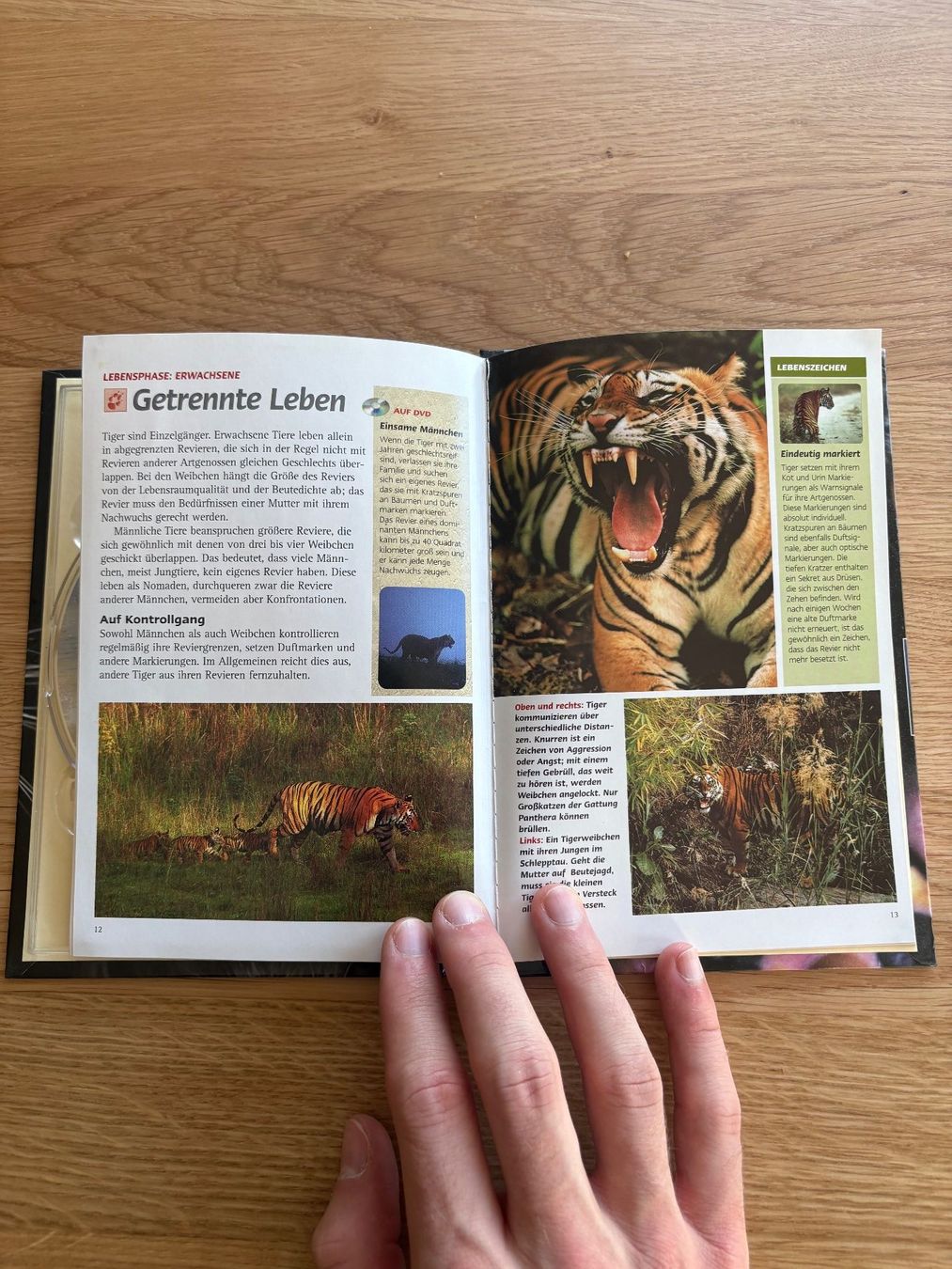 Tutti i DVDs: Tiger der Sümpfe DVD - Natural Killers - Tierdoku! – Nuovo (secondo la descrizione) da Wettswil venduto da nobelii 3