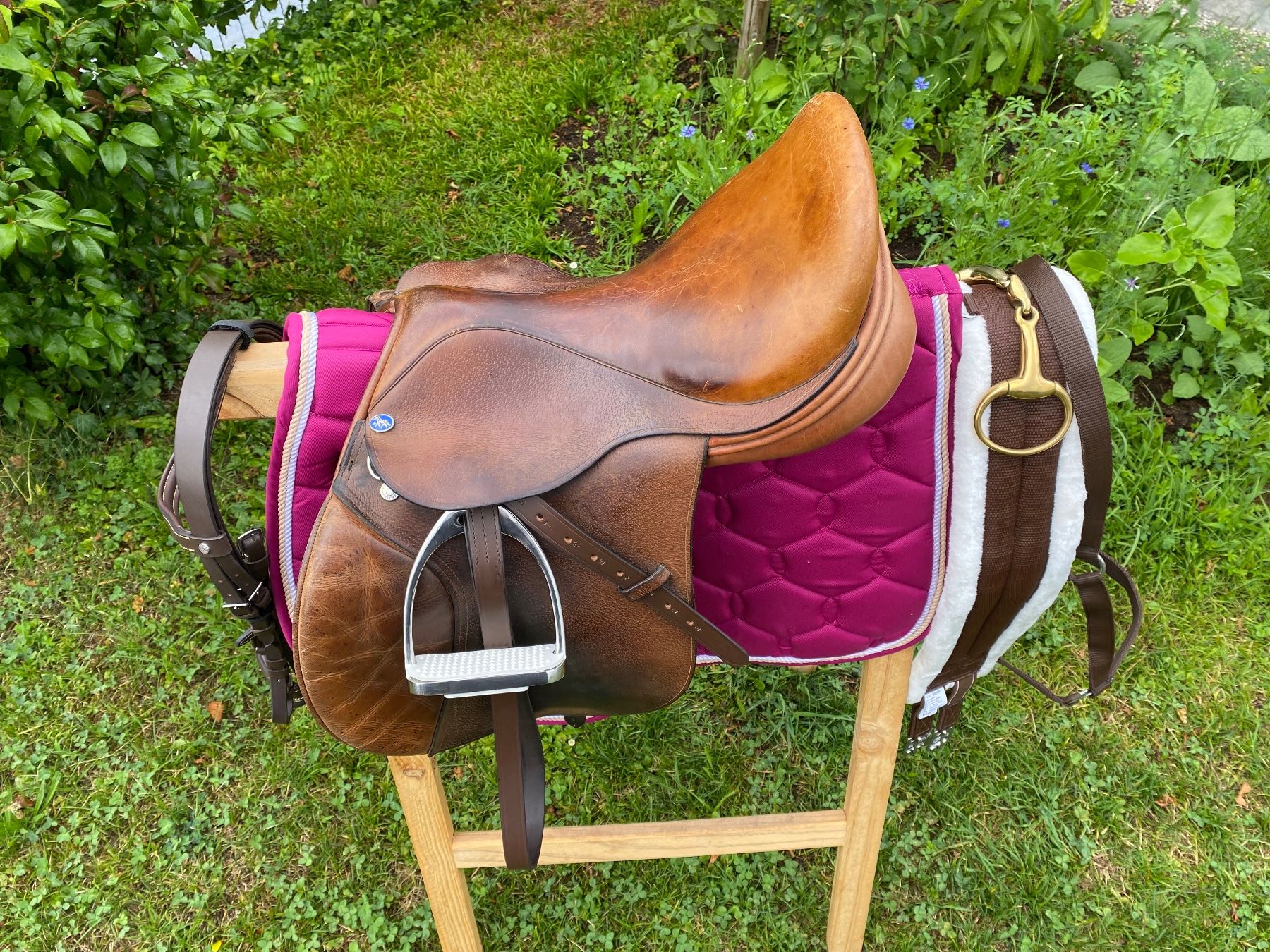 Selle & Accessori: schöner Frank Baines Vielseitigkeitssattel – Usato da Feldbach venduto da Fea1 2