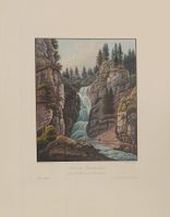 Reichenbach  altkolorierte Aquatinta von Bury