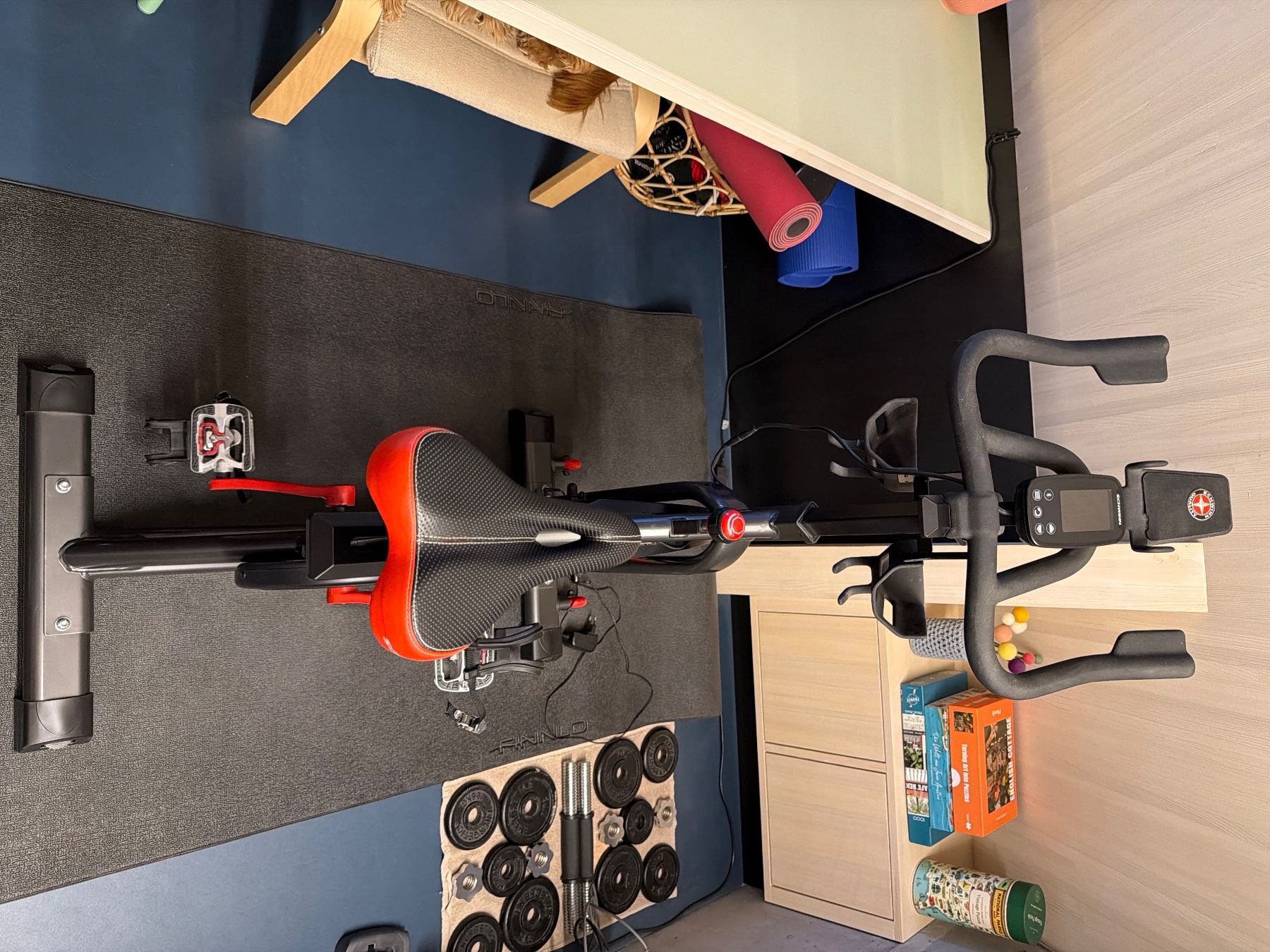 Schwinn Hometrainer: Schwinn 800IC – Usato da Trübbach venduto da and_yp9v