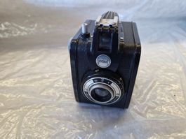 Vintage Kamera Gevaert Gevabox  Germany