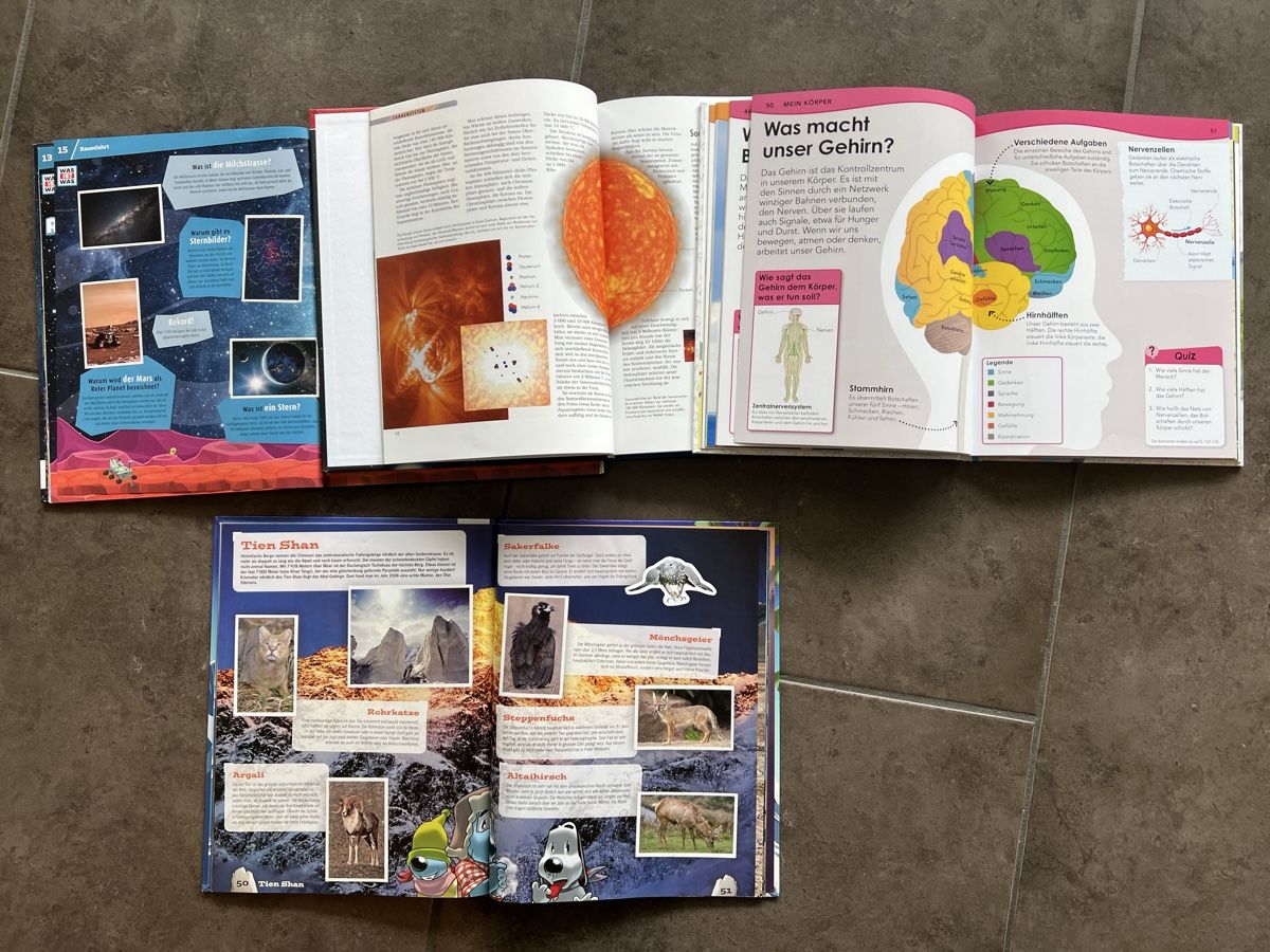 Libri: Natur und Technik Bücher – Usato da Gattikon venduto da Sunshine4. 1