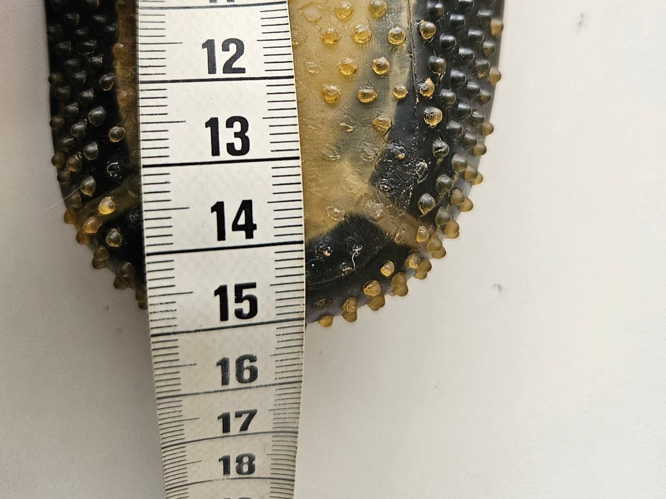 Scarpe per ragazzi: Badeschuhe ca. Gr. 23 / 24 / ca. 15 cm – Usato da Unterengstringen venduto da saraman 2