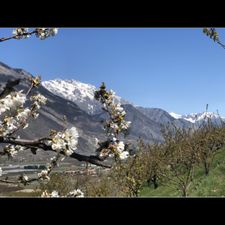 Profile image of Ariane28