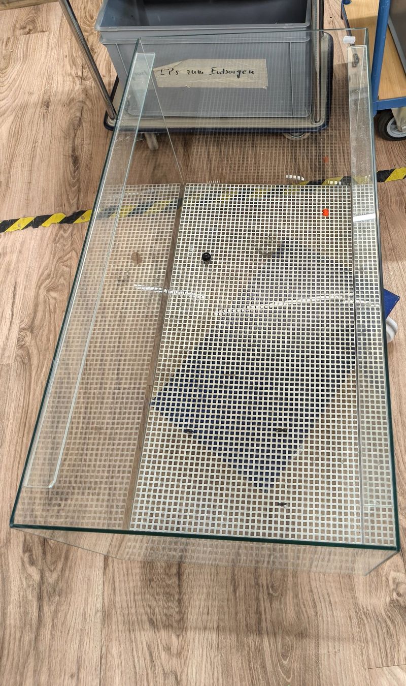 Terrariums: Terrarium mit Metalldeckel – D'occasion à Basel par bk_brockibasel 4