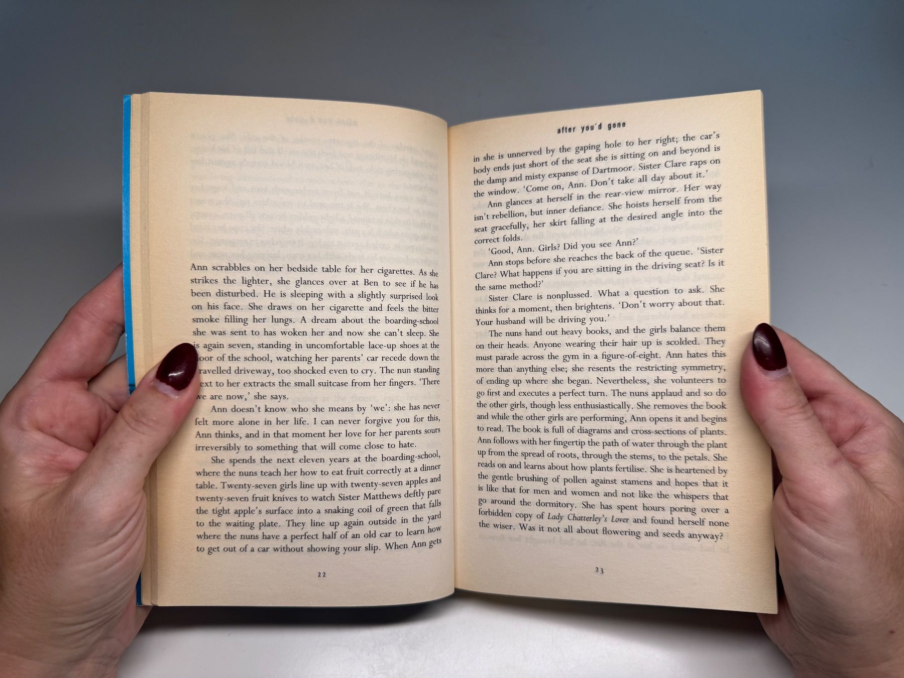 Libri: NOVEL: Maggi O'Farrell, After you'd gone – Usato da Grosswangen venduto da English_books 3