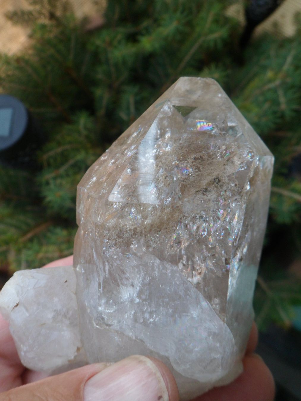 Minerali & Pietre curative: Bergkristall Schweiz 9 cm – Nuovo e nell'imballaggio originale da Affoltern am Albis venduto da Fossil60 1