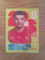 Zeki Amdouni Panini SUI 20
