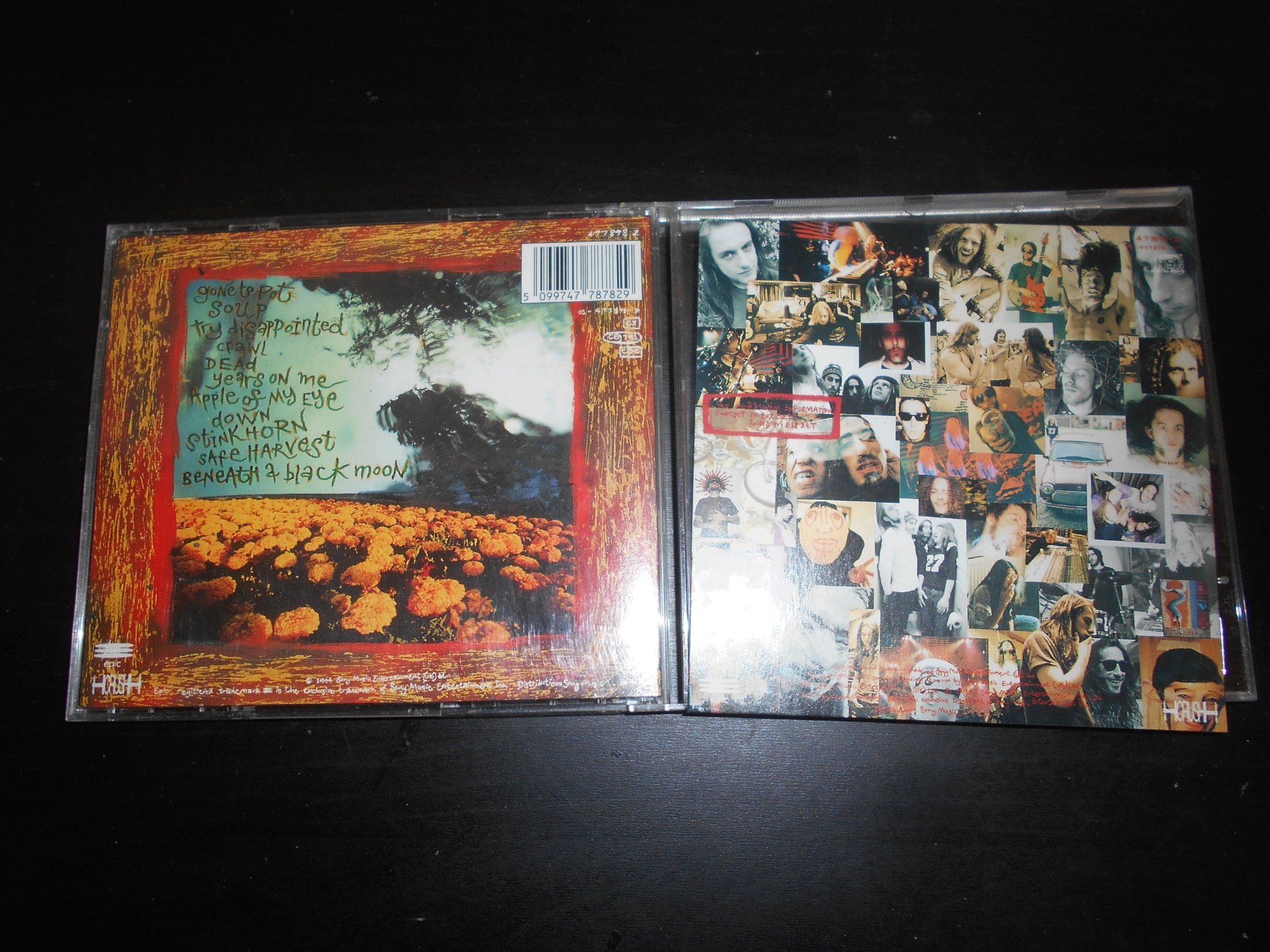 CD: Headswim – Flood / 1994 – Usato da Aarberg venduto da witchhunter01 1