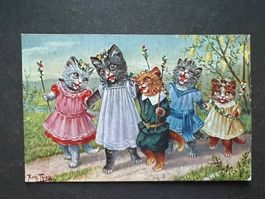 AK 1910 Witzkarte Katzen gelaufen (G3773)
