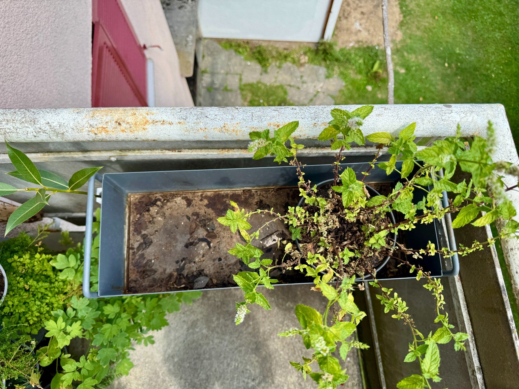 Vasi per fiori: Übertopf / Aufbewahrung / Blumenkasten – Usato da Schlieren venduto da Edgar_k 2