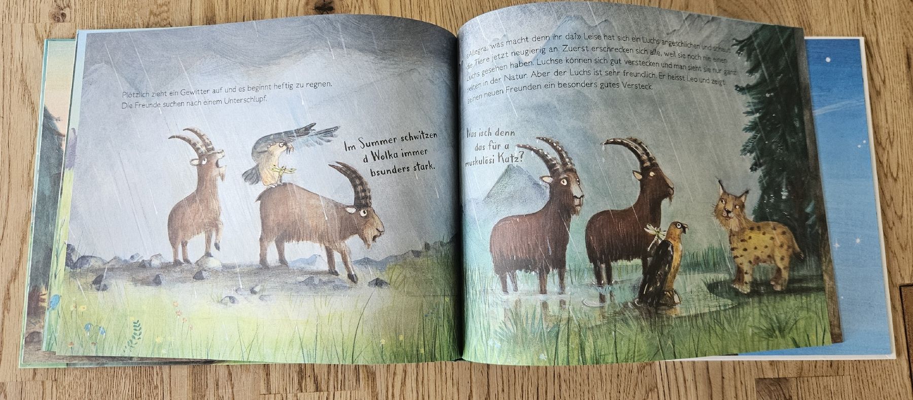 Libri: Gian und Giachen Kinderbuch - neuwertig  – Usato da Visp venduto da hutter88 2