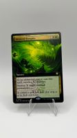 Immoral Bargain Extended