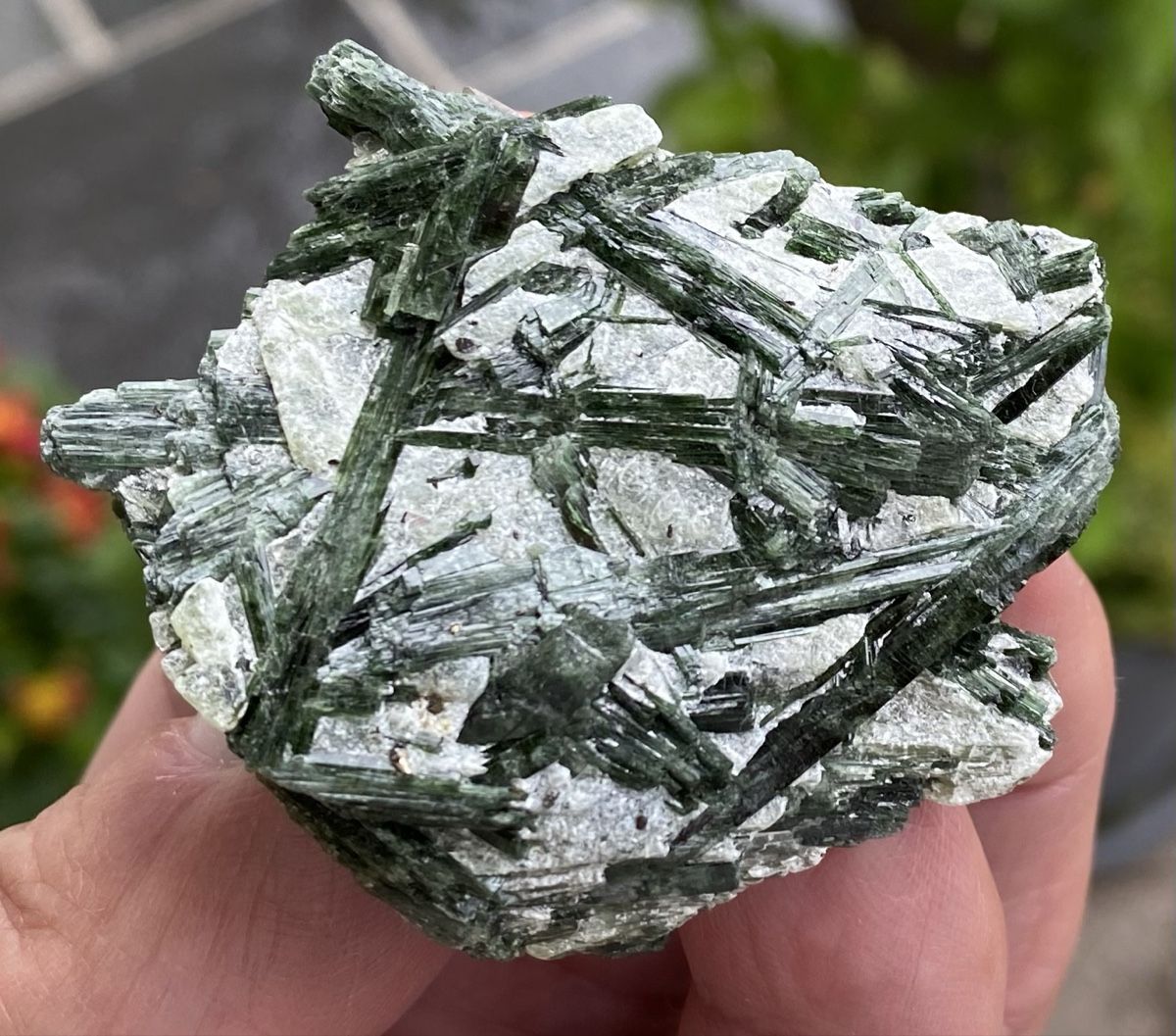 Mineralien & Heilsteine: Top Aktinolith  – Gebraucht aus Selzach von 321compac 4