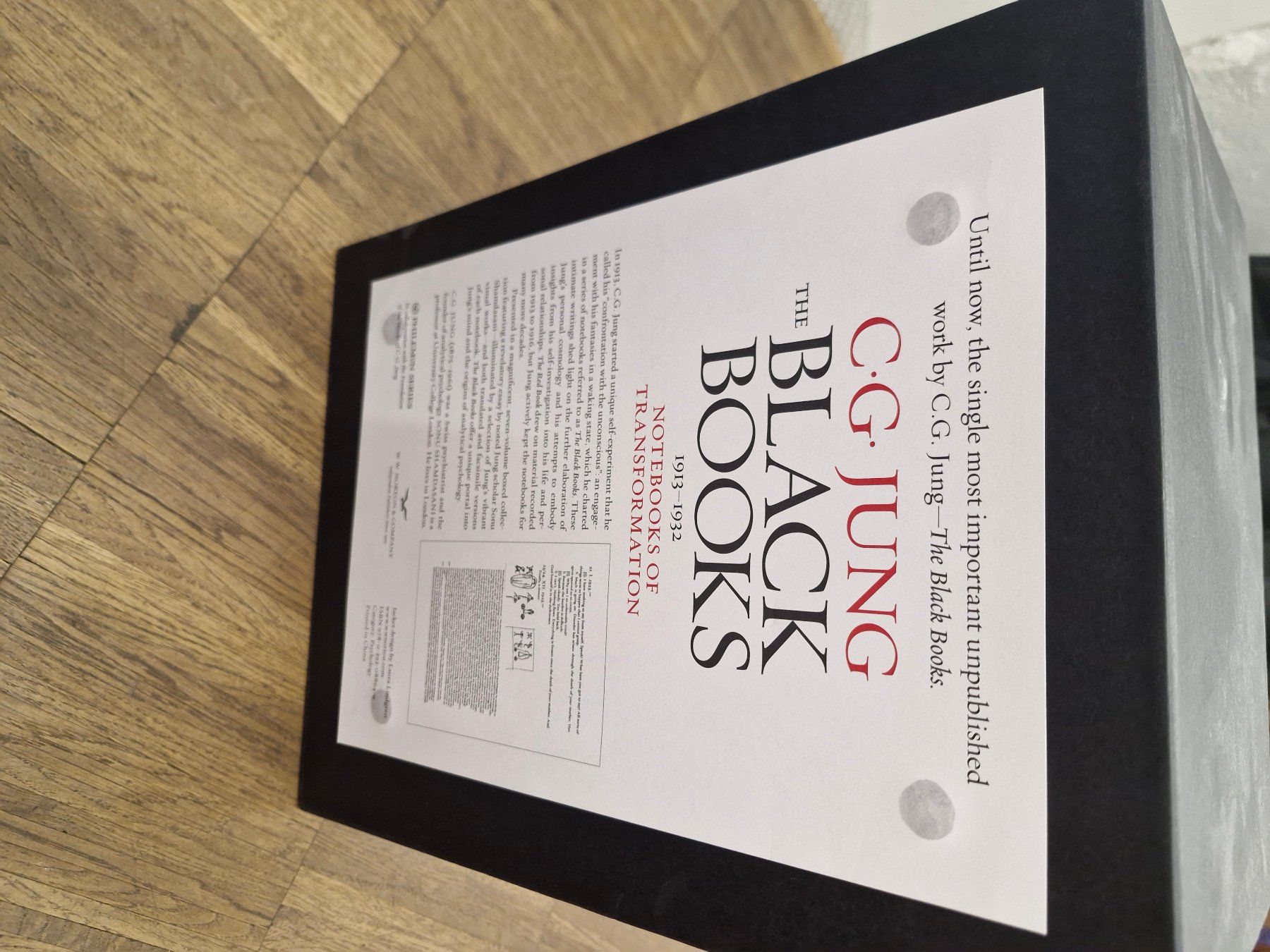Bücher: Jungs Black Books – Neu (gemäss Beschreibung) aus Winterthur von rebuzcado 1