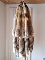 Schöne Fuchsfelle