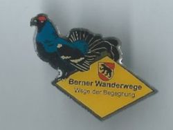 Berner Wanderwege  PIN