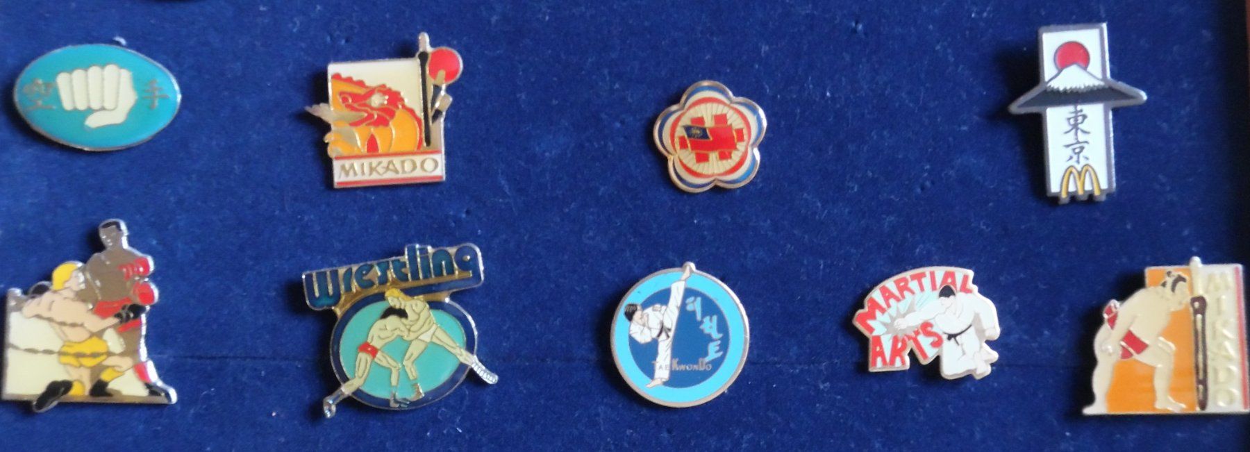 Placchette & Badge: Pin-Sammlung – Usato da Bellinzona venduto da Luna093 2