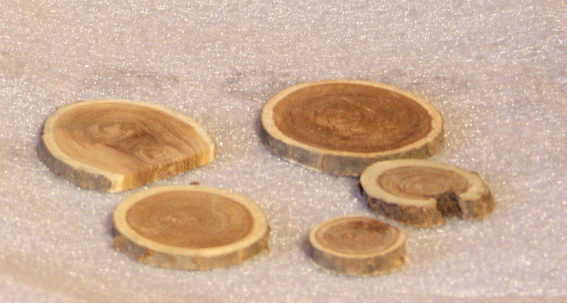 Articles en bois: Holzscheiben z. Basteln – Neuf (Voir description) à Flüelen par Alt-und-Neu 1