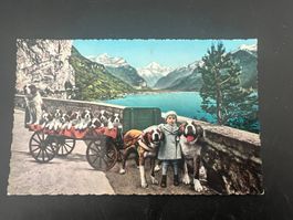 AK Bernhardiner Zwinger Uri      (G879)