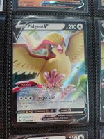 Pidgeot V