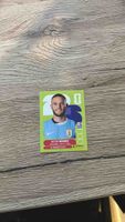 Panini Sammelbild Nahitan Nandez guter Zustand