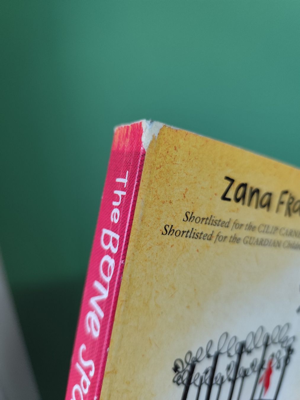 Libri: Fraillon The Bone Sparrow Book - Kids Summer Read – Usato da Mägenwil venduto da VintageGirly 4