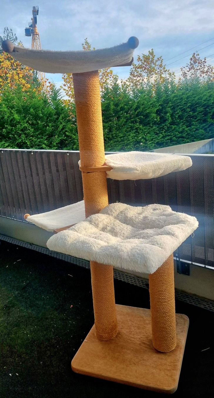Tiragraffi: Katzenbaum, Kratzbaum – Usato da Hermetschwil-Staffeln venduto da Sharone4 1