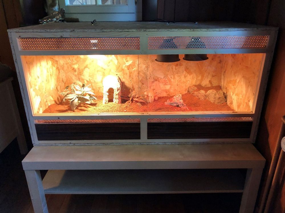 Terrarium 120x60x60 Kaufen auf Ricardo