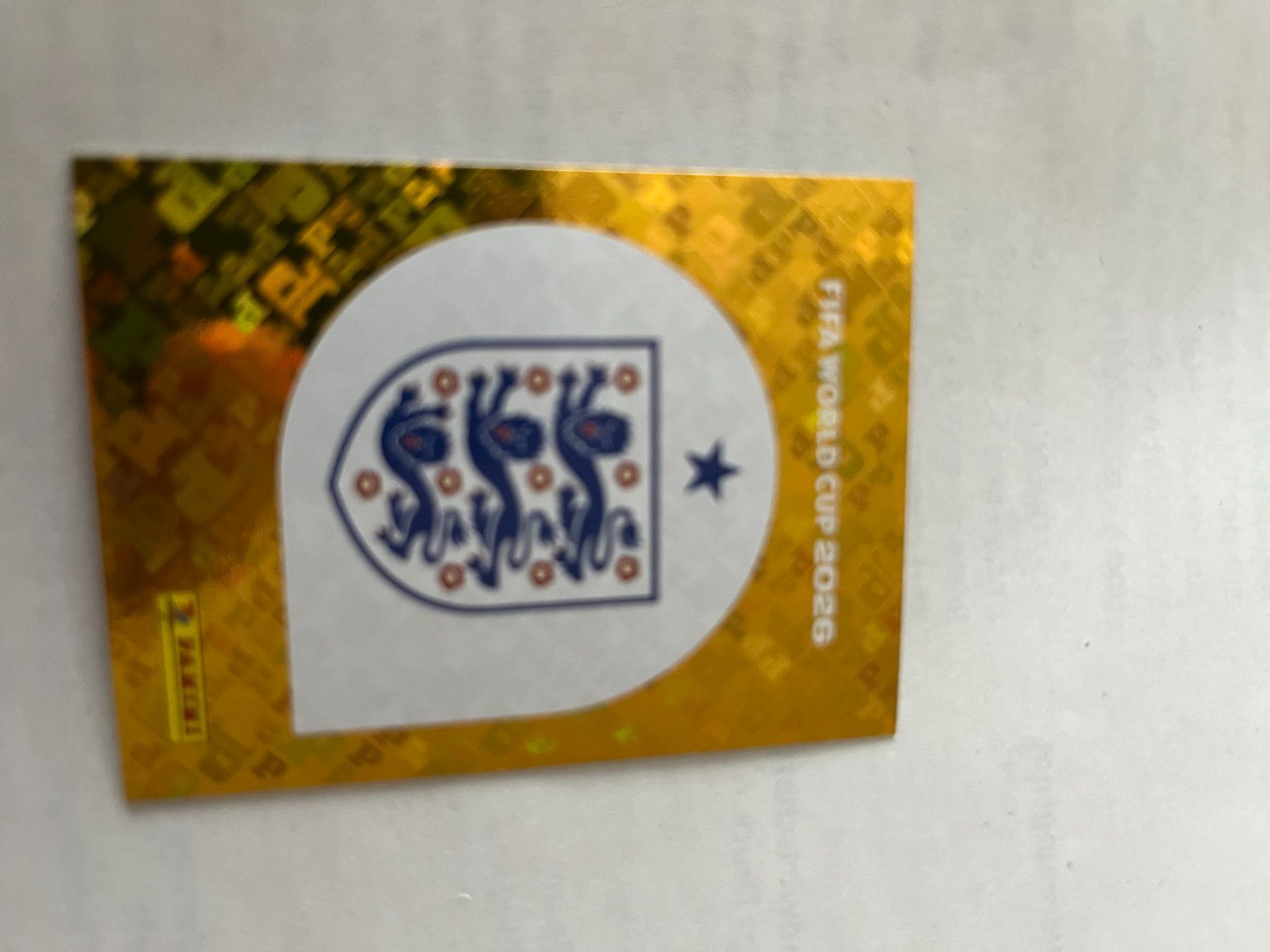 Panini Carte collezionabili: Panini World Cup 2026 – Usato da Winterthur venduto da fla_hwg8