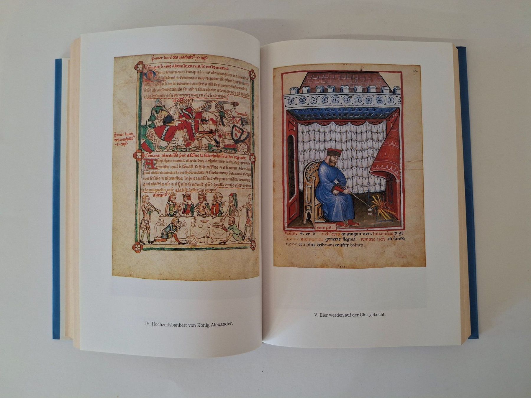 Libri: Die Kochkunst des Mittelalters – Usato da Reichenburg venduto da AK307 4