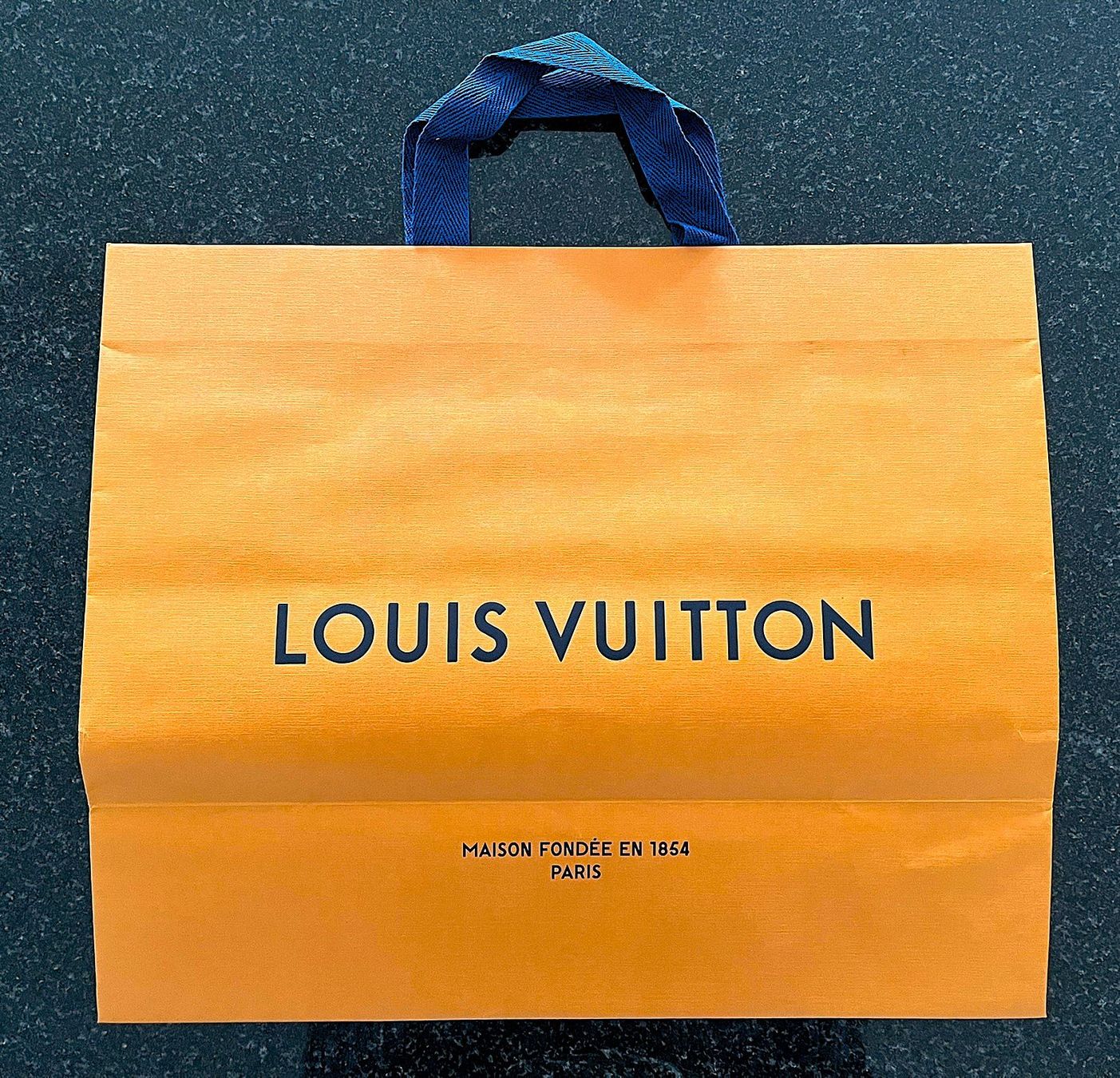 Louis Vuitton Borse: Louis Vuitton - Papiertaschen – Usato da Fribourg venduto da Kumpaan 1