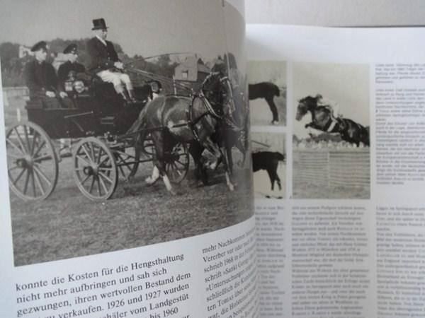 Libri: Geschichte des Pferdes – Usato da Chur venduto da omonia 4