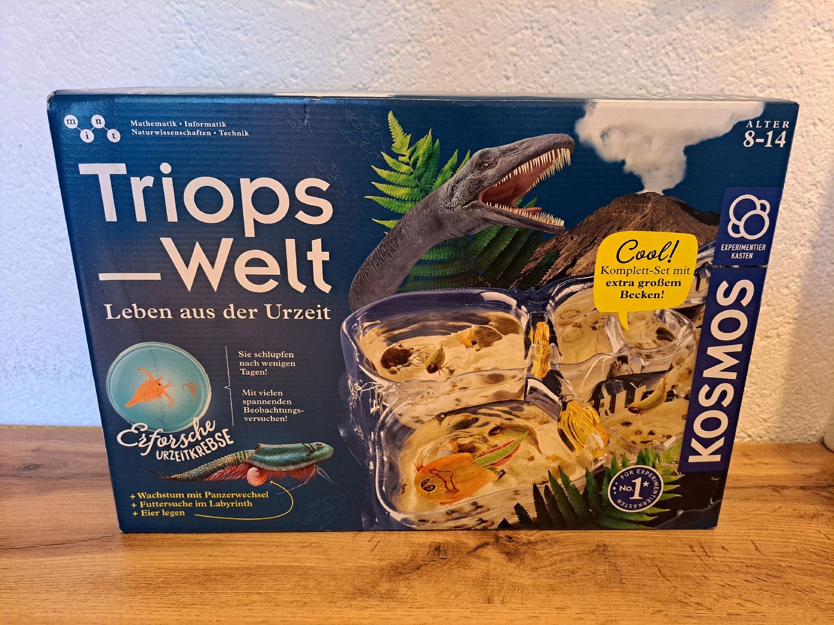 Spielzeuge: Triops-Welt – Gebraucht aus Thörigen von leo_55vw