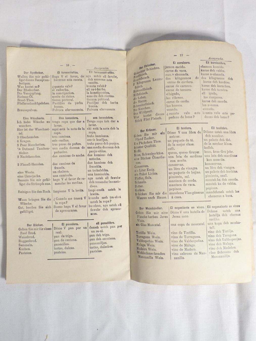 Bücher: Polyglott Spanisch Lernbuch/Sprachführer von 1894 – Gebraucht aus Zürich von botschinski 3