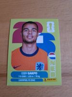 Panini WM 2026 NED 20