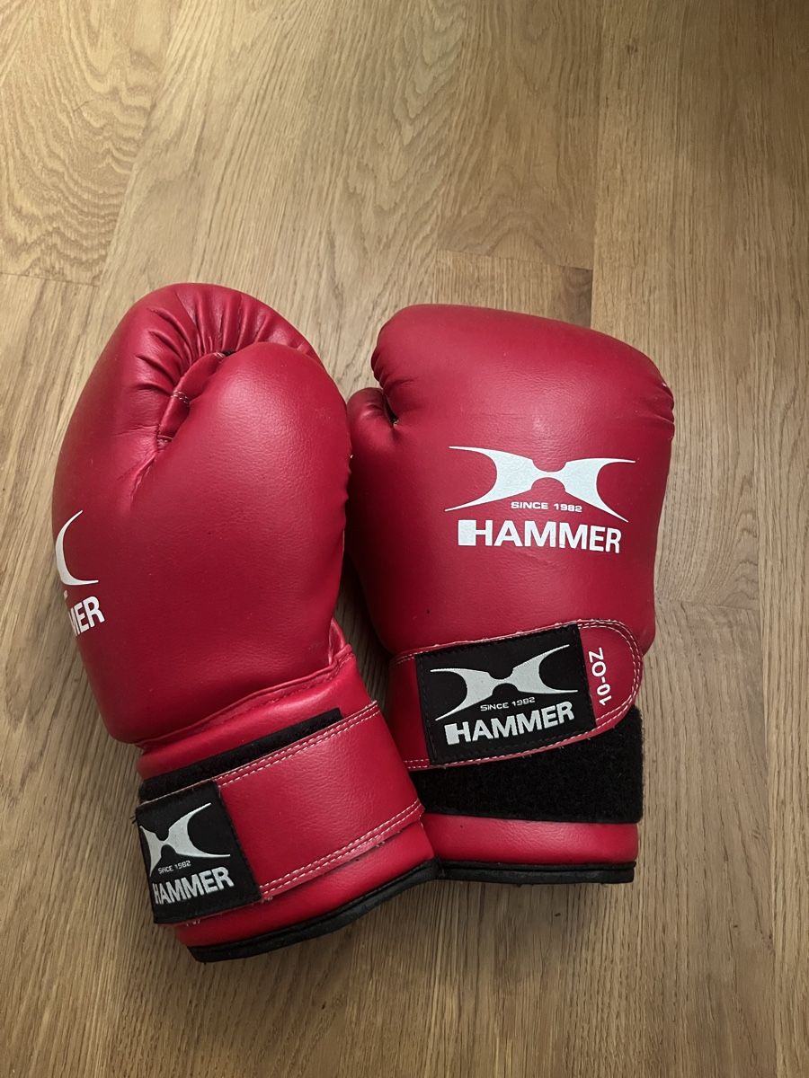 Guanti & manicotti: Boxhandschuhe 10 OZ – Usato da Luzern venduto da lou_p8qb