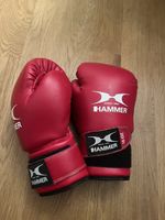 Boxhandschuhe 10 OZ