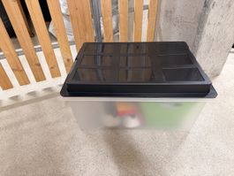 Rotobox von Rotho, neuwertig, ideal für Estrich/Keller