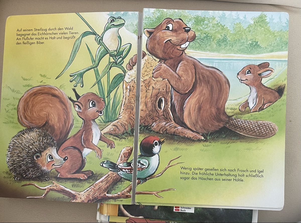 Livres: Das flinke Eichhörnchen Kinderbuch Schneider Buch – D'occasion à Birr par Elines 1