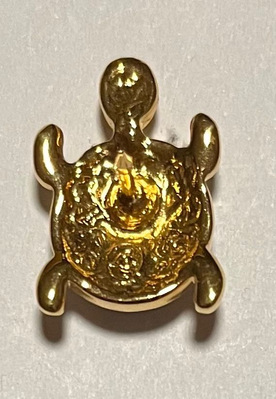 Plaketten & Abzeichen: Schildkröte Pin mit Steinchen besetzt – Gebraucht aus Altdorf UR von Mini037 2