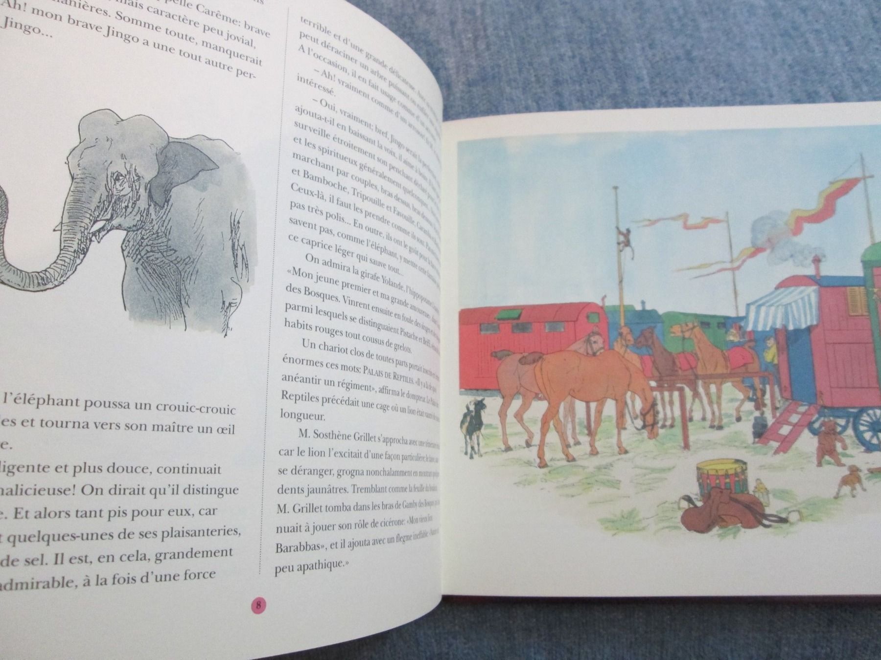 Libri: Drôle de cirque! – Usato da Neuchâtel venduto da Dualseele 6