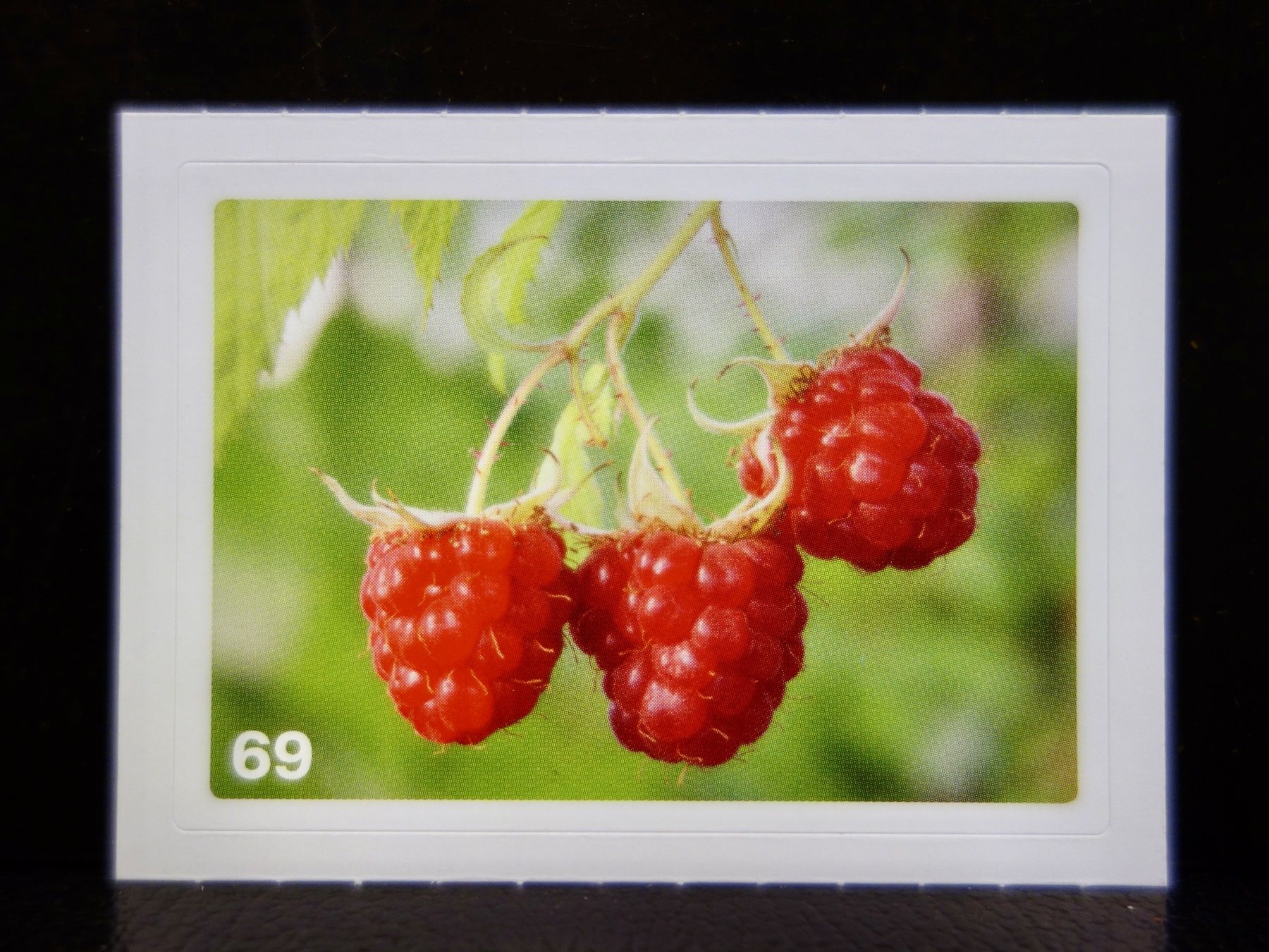 Migros Sammelbilder & Trading cards: MIGROS MANIA Nature Detectives Nr. 69 – Neu und originalverpackt aus Kerzers von djstarsky73