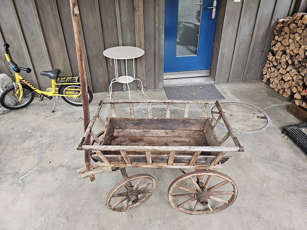 Transportwagen: LEITERWAGEN  – Gebraucht aus Buckten von Roli1040 4