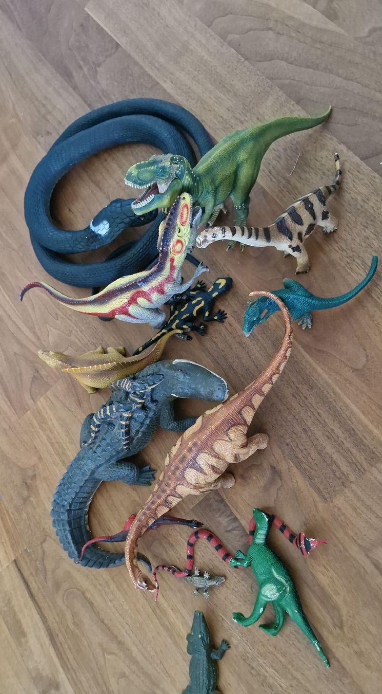 Giocattoli:  Spielzeug Dinosaurier und Tiere – Usato da Rifferswil venduto da stadelwolf